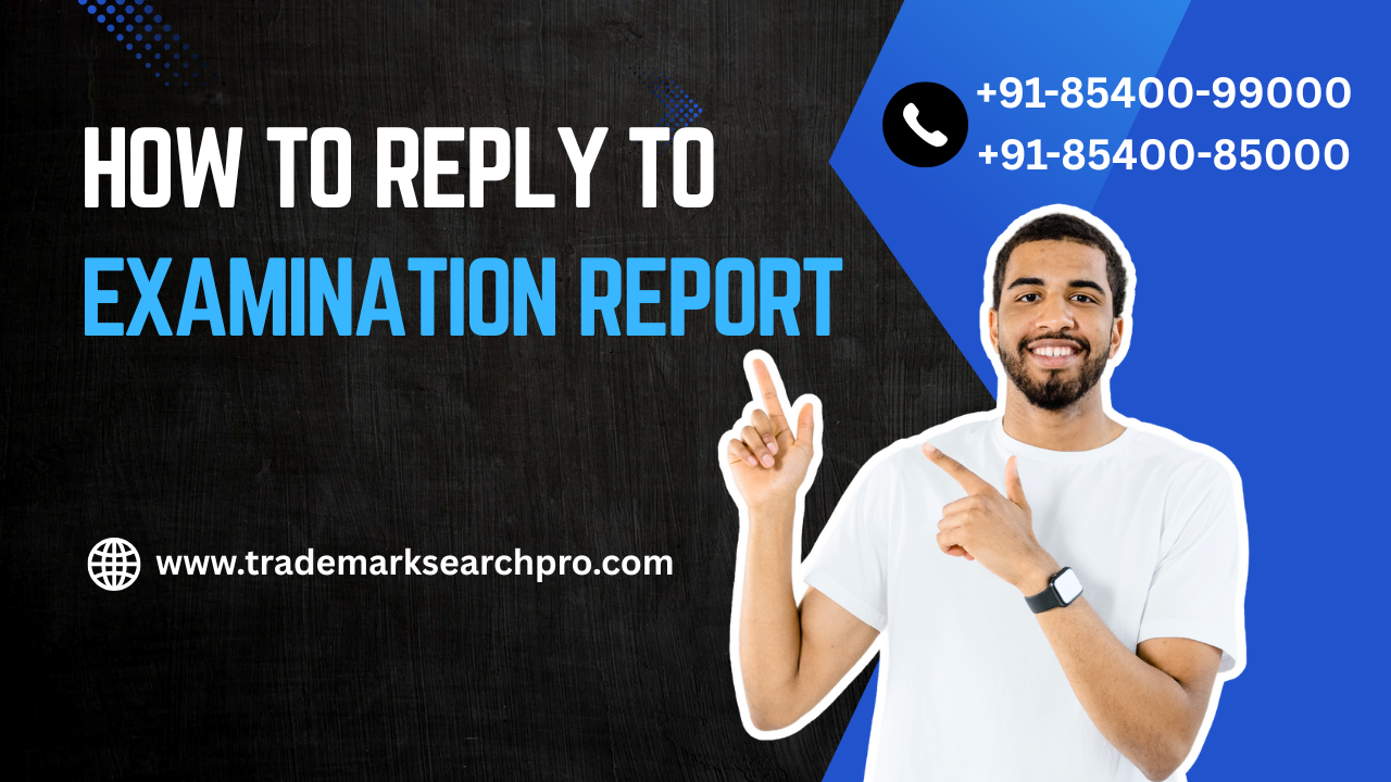 How to Reply to Examination Report in India: Complete Guide